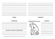 Schimpanse-Faltbuch-vierseitig-4.pdf